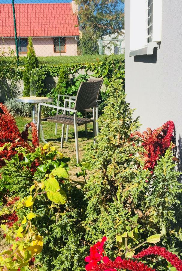 Apartman U Zamecke Dyje Lednice Buitenkant foto