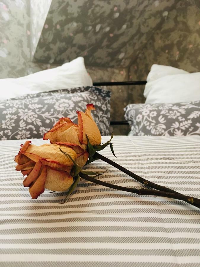 Apartman U Zamecke Dyje Lednice Buitenkant foto